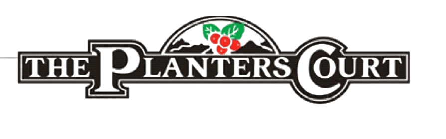 Google Ads Experts Bangalore | Google Ads Agency Bangalore | Google Ads Specialist Bangalore | Google AdWords Company Bangalore | Top PPC Expert Providers Agency in Bangalore | PPC Company Near Me | Best Pay Per Click Services | Google Ads Expert Bangalore | Best PPC Services Agency Near Me