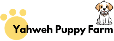 Google Ads Experts Bangalore | Google Ads Agency Bangalore | Google Ads Specialist Bangalore | Google AdWords Company Bangalore | Top PPC Expert Providers Agency in Bangalore | PPC Company Near Me | Best Pay Per Click Services | Google Ads Expert Bangalore | Best PPC Services Agency Near Me